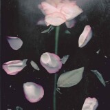 e2cbcc064b8e0ae41e42b2643df959aa9149b04af6e3819b